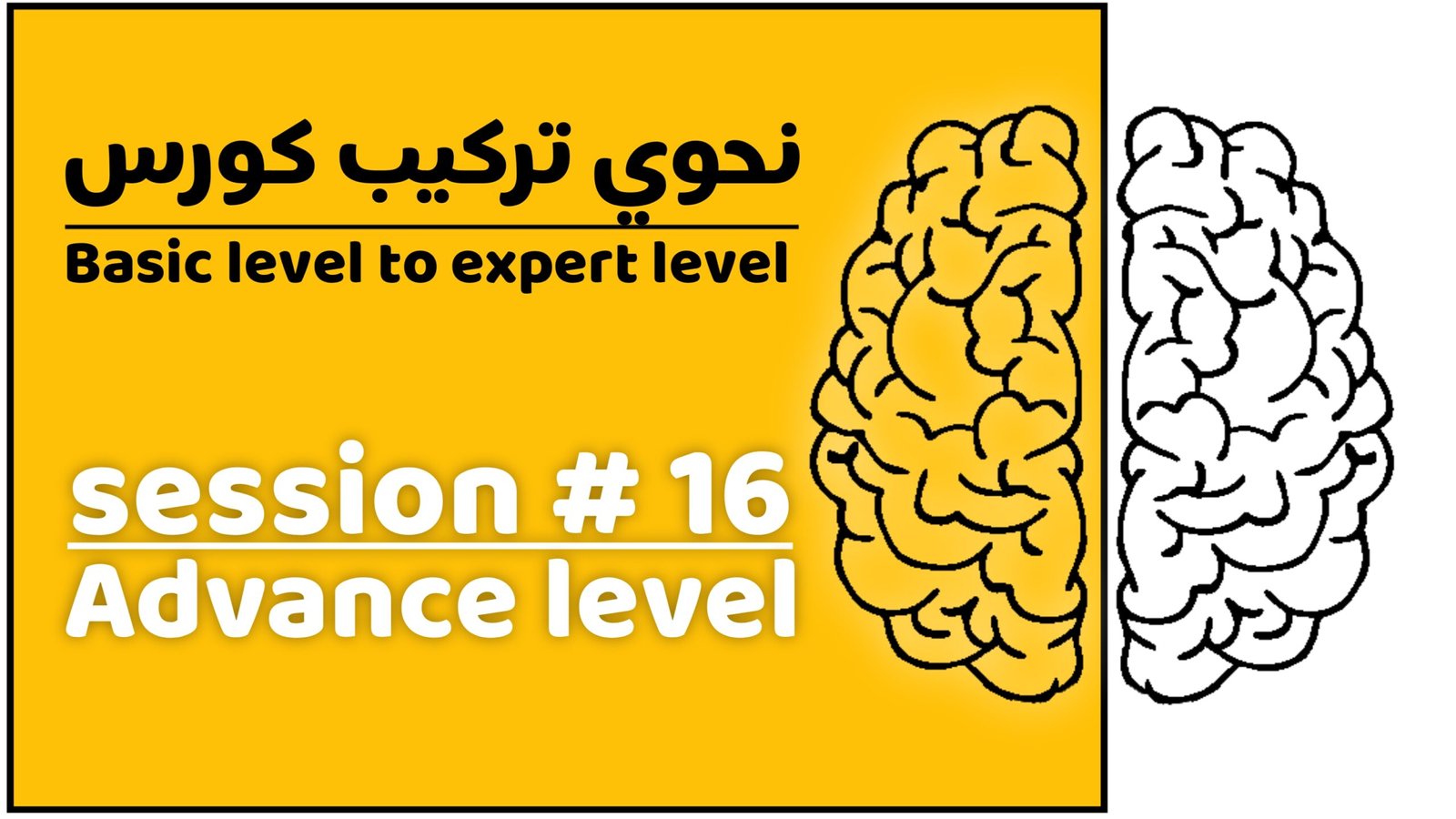 Nahvi Tarkeeb Course (basic level to expert level) Session # 16 |  نحوی ترکیب کورس (شرط اور جزاء)